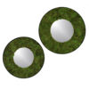 Moss Mirror19
