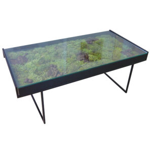 Moss Mix Coffee Table-55x110x40