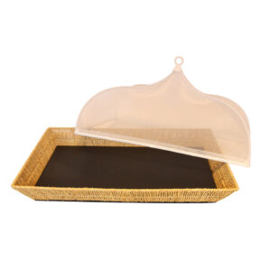 Set Water Hyacinth Tray & Nylon Cover-13R
